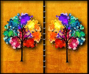 Forest Spot the Difference