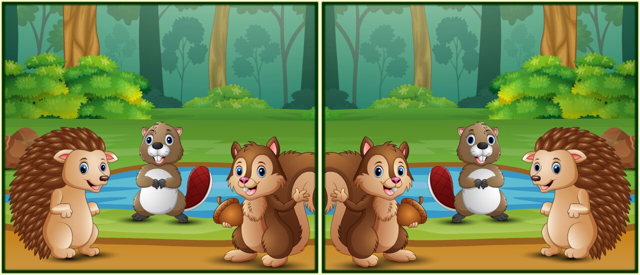 Spot The Differences Forests